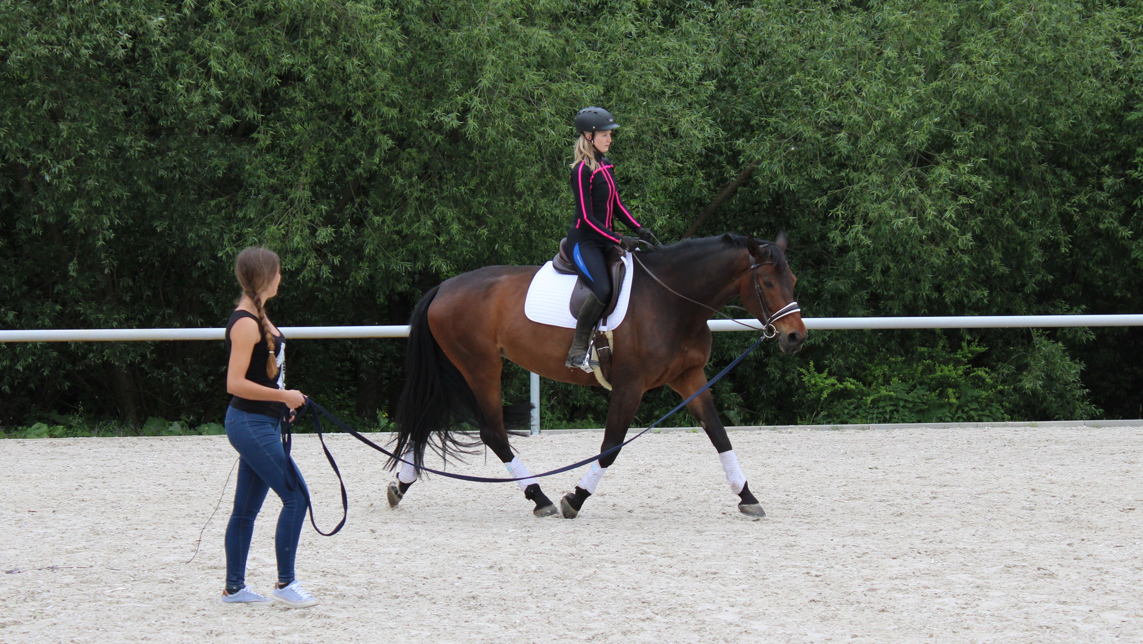 Centaur Biomechanic Jacket